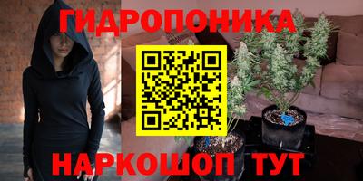 гидра Бузулук