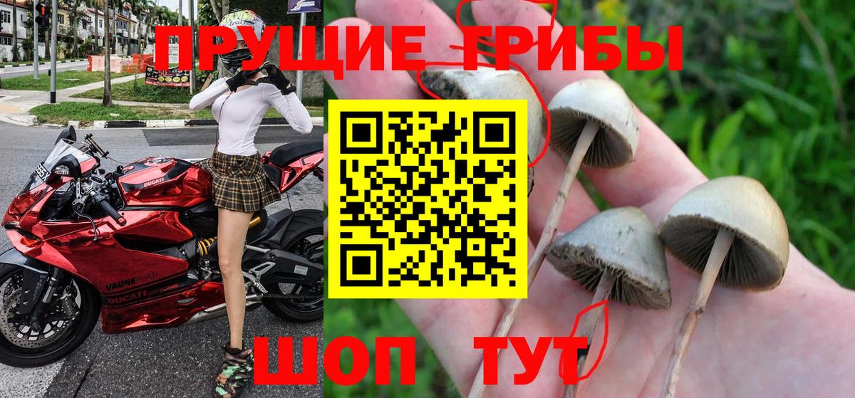 Галлюциногенные грибы мухоморы Красноярск